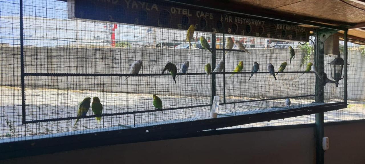 Grand Yayla Hotel Çeşme Exteriér fotografie