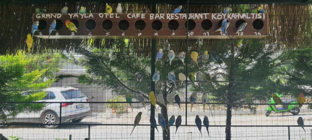 Grand Yayla Hotel Çeşme Exteriér fotografie